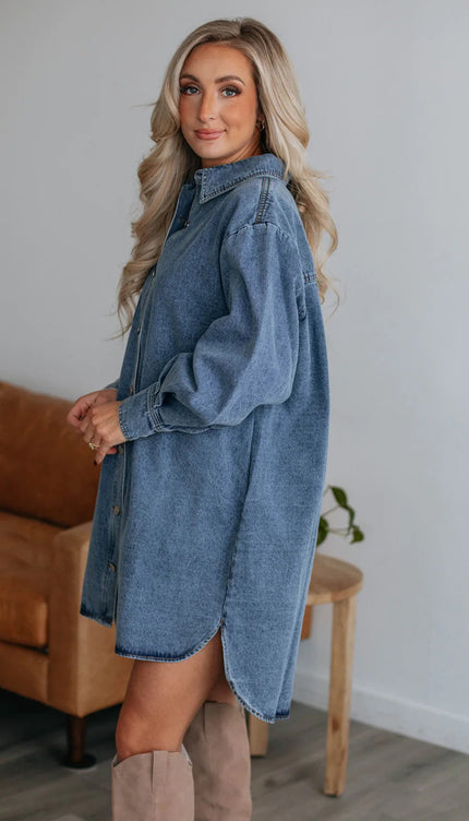 Button Up Collared Neck Long Sleeve Denim Dress