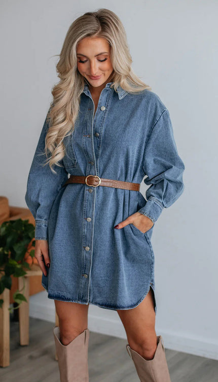 Button Up Collared Neck Long Sleeve Denim Dress