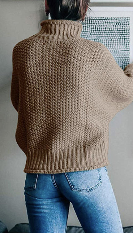 Turtleneck Dropped Shoulder Sweater