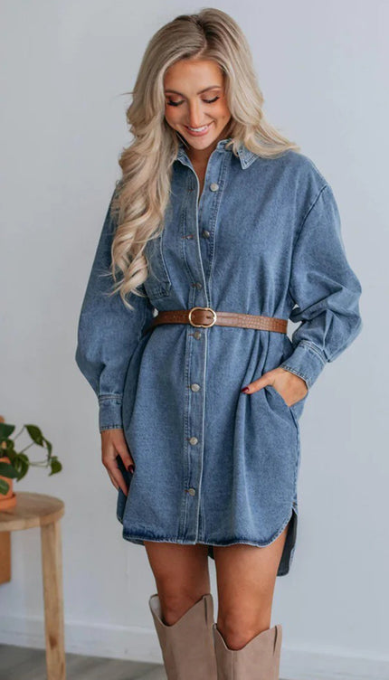 Button Up Collared Neck Long Sleeve Denim Dress