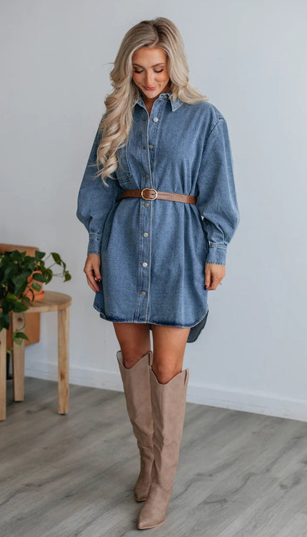 Button Up Collared Neck Long Sleeve Denim Dress