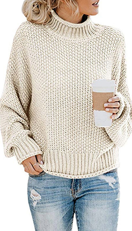 Turtleneck Dropped Shoulder Sweater