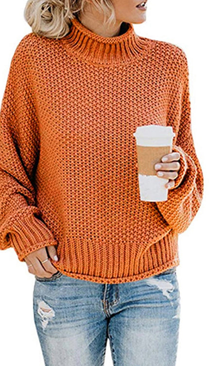 Turtleneck Dropped Shoulder Sweater