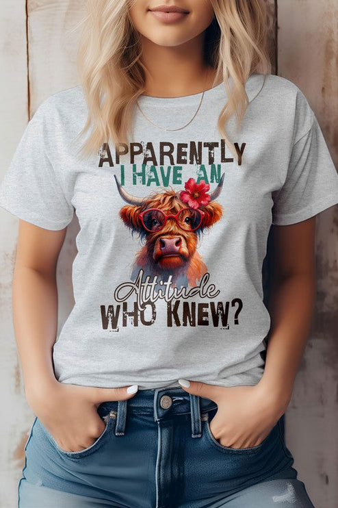 Highland Cow Funny Quote Graphic Tee - Ash / S