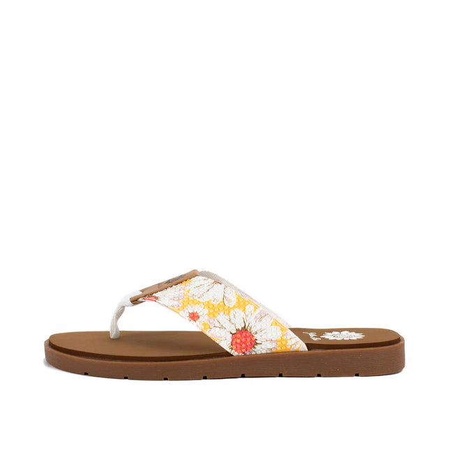 Yellow Box Fesca Marigold