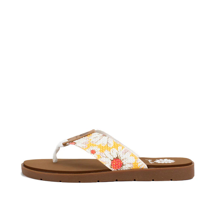 Yellow Box Fesca Marigold